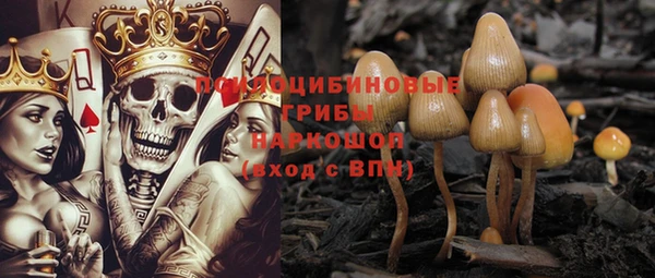 круглые Аркадак