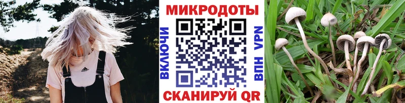 Псилоцибиновые грибы MAGIC MUSHROOMS  даркнет сайт  Кизел 